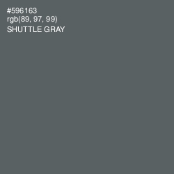 #596163 - Shuttle Gray Color Image