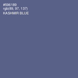 #596189 - Kashmir Blue Color Image