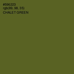 #596223 - Chalet Green Color Image