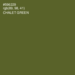 #596229 - Chalet Green Color Image