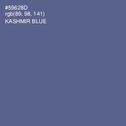 #59628D - Kashmir Blue Color Image