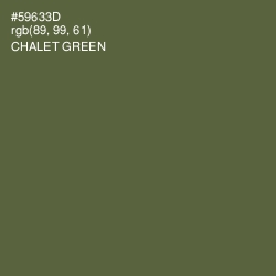 #59633D - Chalet Green Color Image