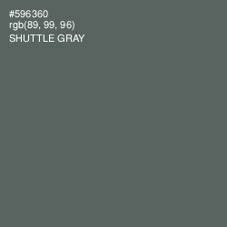 #596360 - Shuttle Gray Color Image