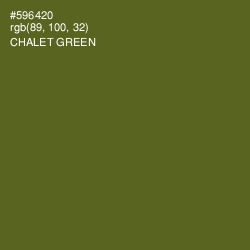 #596420 - Chalet Green Color Image