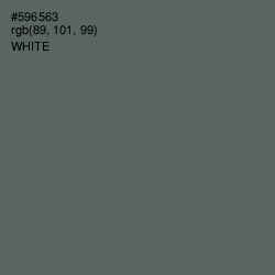 #596563 - Shuttle Gray Color Image