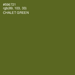 #596721 - Chalet Green Color Image