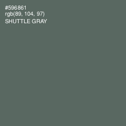 #596861 - Shuttle Gray Color Image