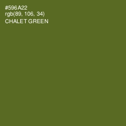 #596A22 - Chalet Green Color Image