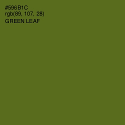 #596B1C - Green Leaf Color Image