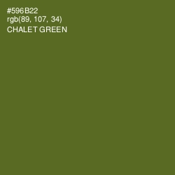#596B22 - Chalet Green Color Image