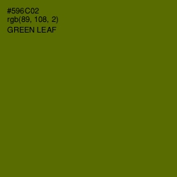 #596C02 - Green Leaf Color Image