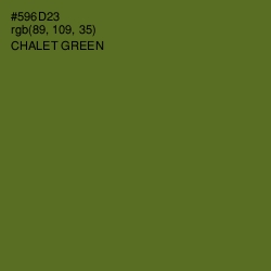 #596D23 - Chalet Green Color Image