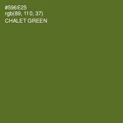 #596E25 - Chalet Green Color Image