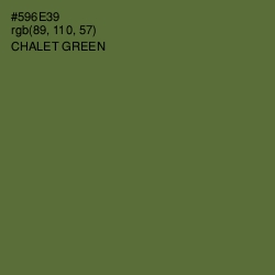 #596E39 - Chalet Green Color Image