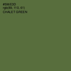 #596E3D - Chalet Green Color Image