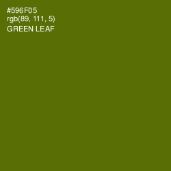 #596F05 - Green Leaf Color Image