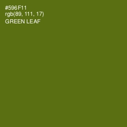 #596F11 - Green Leaf Color Image