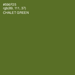 #596F25 - Chalet Green Color Image