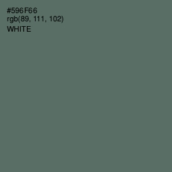 #596F66 - Como Color Image