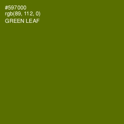 #597000 - Green Leaf Color Image