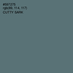 #597275 - Cutty Sark Color Image