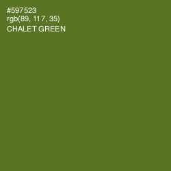 #597523 - Chalet Green Color Image