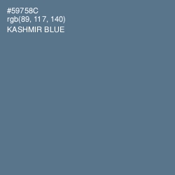 #59758C - Kashmir Blue Color Image