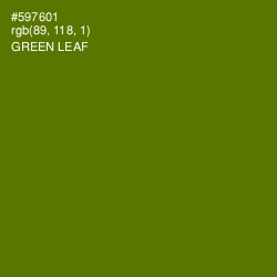 #597601 - Green Leaf Color Image