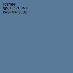 #597999 - Kashmir Blue Color Image