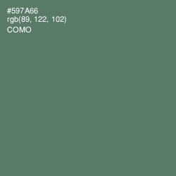 #597A66 - Como Color Image