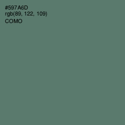 #597A6D - Como Color Image