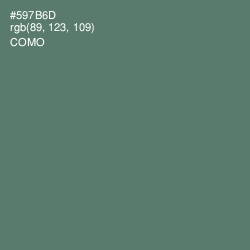 #597B6D - Como Color Image