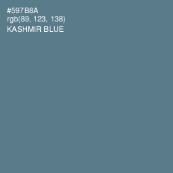 #597B8A - Kashmir Blue Color Image