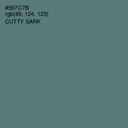 #597C7B - Cutty Sark Color Image