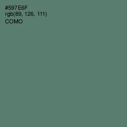 #597E6F - Como Color Image