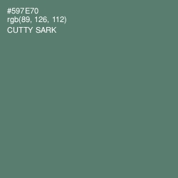 #597E70 - Cutty Sark Color Image