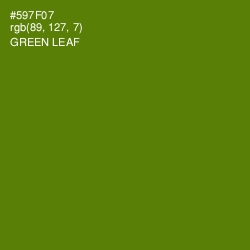 #597F07 - Green Leaf Color Image