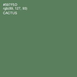 #597F5D - Cactus Color Image