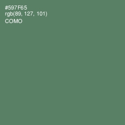 #597F65 - Como Color Image