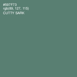 #597F73 - Cutty Sark Color Image