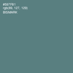 #597F81 - Bismark Color Image