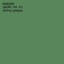 #59865B - Hippie Green Color Image