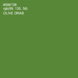 #598738 - Olive Drab Color Image