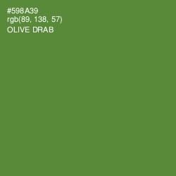#598A39 - Olive Drab Color Image
