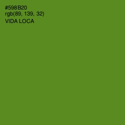 #598B20 - Vida Loca Color Image