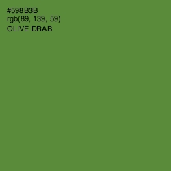 #598B3B - Olive Drab Color Image