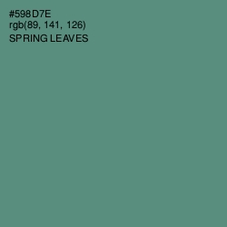 #598D7E - Spring Leaves Color Image