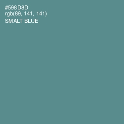 #598D8D - Smalt Blue Color Image