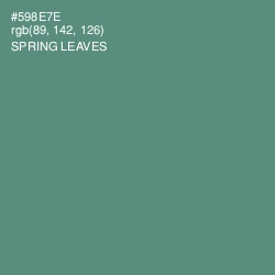 #598E7E - Spring Leaves Color Image