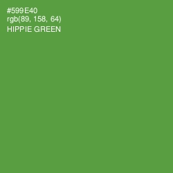 #599E40 - Hippie Green Color Image